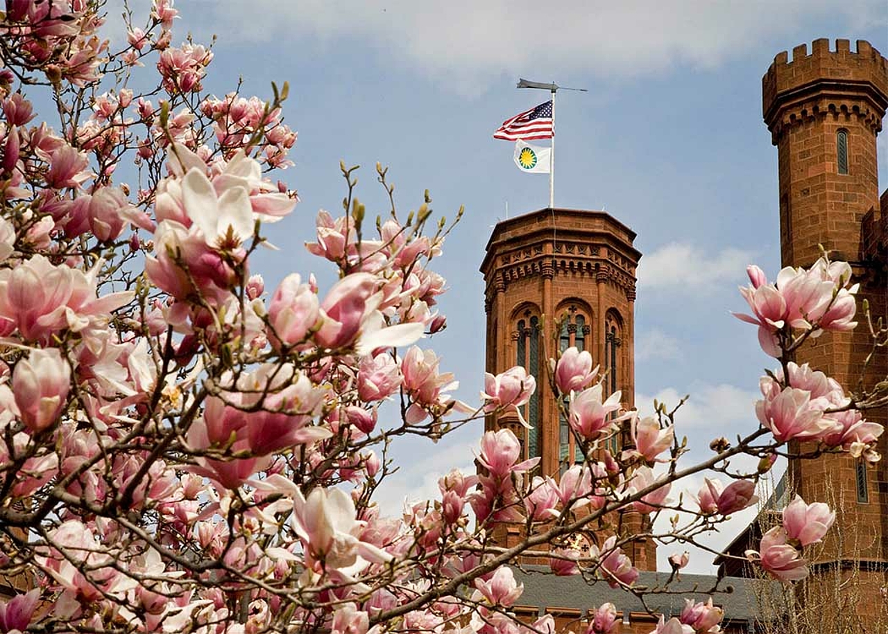 The Smithsonian Institution, headquartered in Washington, D.C., is the largest museum, education and research complex in the world. (Photo: Smithsonian Institution)